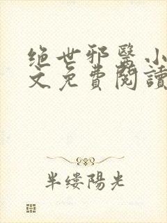 绝世邪医小说全文免费阅读