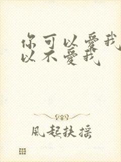 你可以爱我也可以不爱我