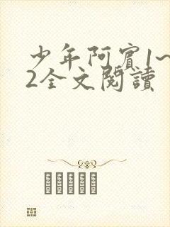 少年阿宾1~72全文阅读