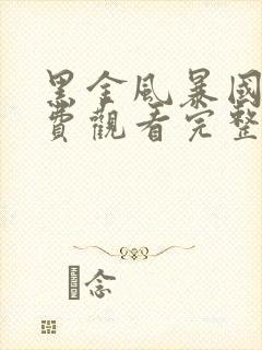 黑金风暴国语免费观看完整版