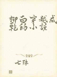 柳白穿越成李承乾的小说