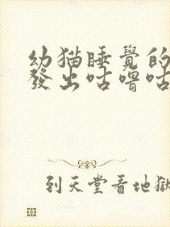 幼猫睡觉的时候发出咕噜咕噜的声音