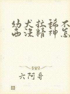 幼犬拉稀不吃东西没精神怎么办