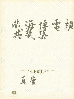 藏海传电视剧一共几集