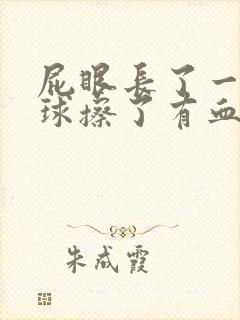 屁眼长了一个肉球擦了有血封面