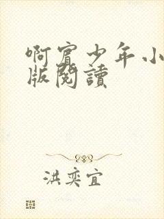 啊宾少年小说正版阅读封面