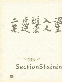 二虎进入温如玉是逆袭人生