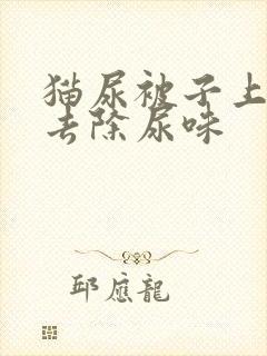 猫尿被子上怎么去除尿味