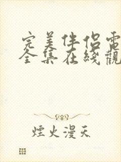 完美伴侣电视剧全集在线观看免费