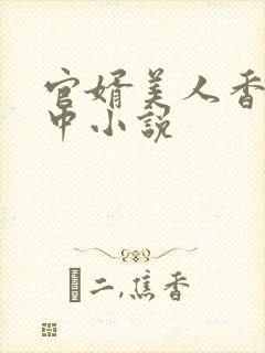 官婿美人香刘志中小说