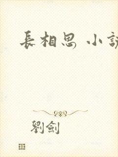 长相思 小说