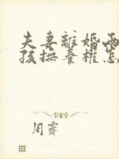 夫妻离婚两个小孩抚养权怎么判封面