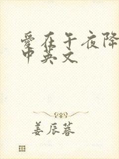 爱在午夜降临前中英文