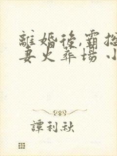 离婚后,霸总追妻火葬场 小说