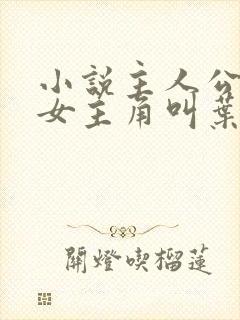 小说主人公林凡女主角叫叶惜