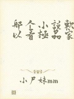 哪个小说软件可以看极品家丁