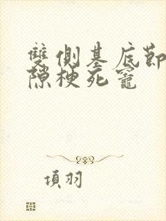 双侧基底节区腔隙梗死灶