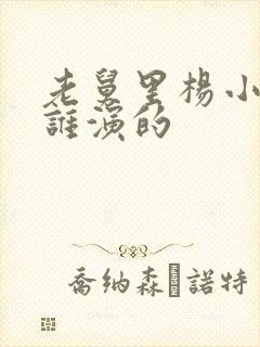 老舅里杨小姐是谁演的封面