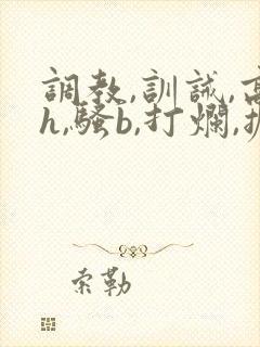 调教,训诫,高h,骚b,打烂,撅,小说