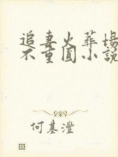 追妻火葬场破镜不重圆小说