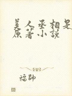 美人丞相是病娇原著小说