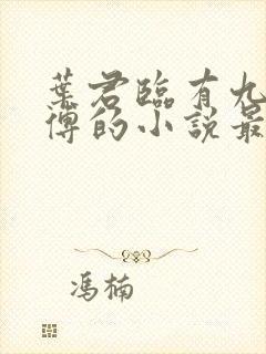 叶君临有九个师傅的小说最新章节