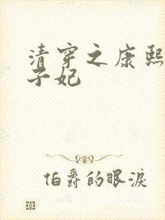 清穿之康熙与太子妃封面