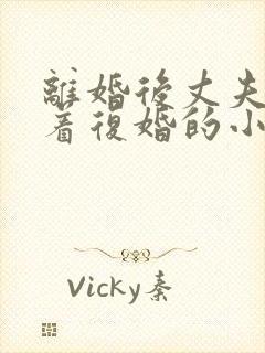 离婚后丈夫哭求着复婚的小说