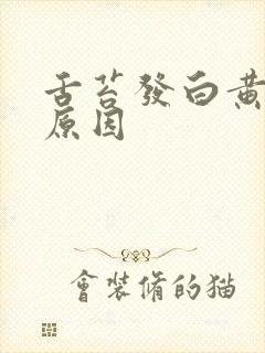 舌苔发白黄什么原因