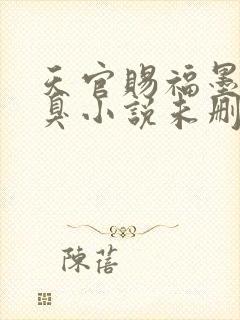 天官赐福墨香铜臭小说未删减在线看封面