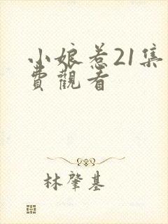 小娘惹21集免费观看