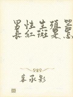 男性生殖器内侧长红斑是怎么回事