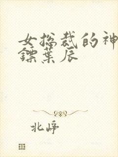 女总裁的神级保镖叶辰