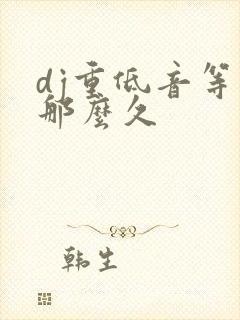 dj重低音等你那么久封面