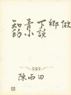 知青下乡做曹贼的小说封面