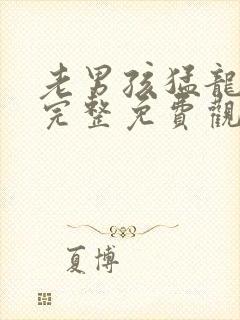 老男孩猛龙过江完整免费观看