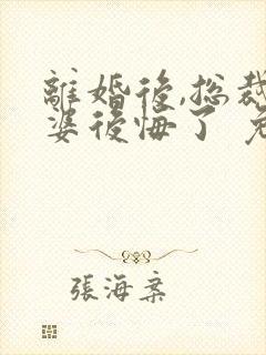 离婚后,总裁老婆后悔了 免费阅读