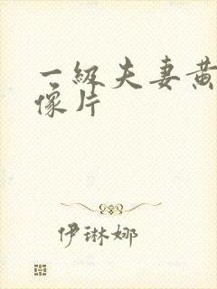 一级夫妻黄色录像片