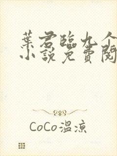 叶君临九个师傅小说免费阅读