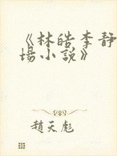 《林皓李静怡官场小说》