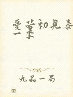 爱若初见泰剧第一季