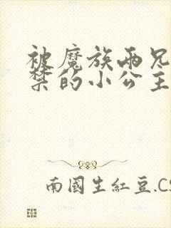 被魔族两兄弟囚禁的小公主小说封面