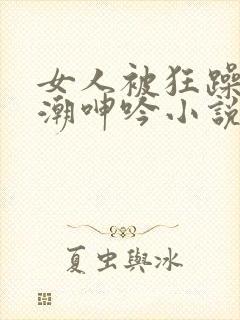 女人被狂躁到高潮呻吟小说封面