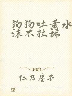 狗狗吐黄水带泡沫不拉稀