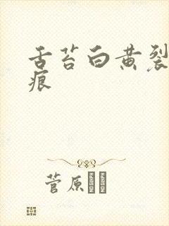 舌苔白黄裂纹齿痕封面