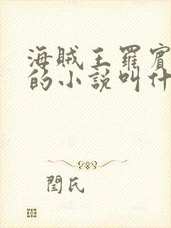 海贼王罗宾堕落的小说叫什么