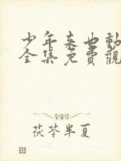 少年来也动画片全集免费观看