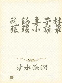 我的妻子林慧茹张强小说最新章节阅读