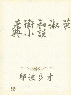 老卫和淑荣的经典小说封面