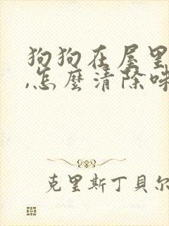 狗狗在屋里尿了,怎么清除味道